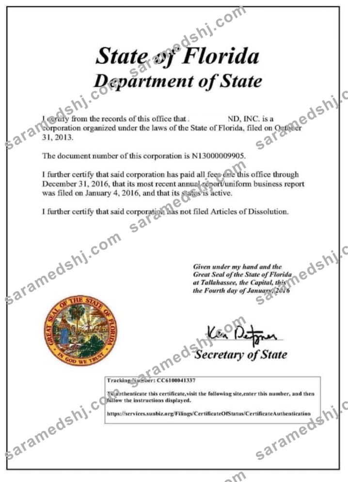 USA Florida certificate of good standing